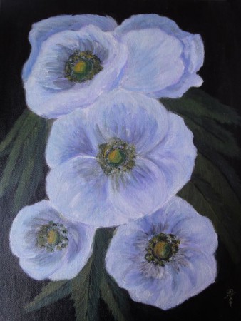 Weisser Mohn 30cm x 40cm Acryl auf Keilrahmen